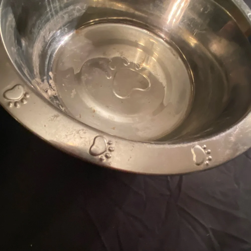 Stainless Steel Paw Print Pet Bowls - Set of 2 - each 5 quarts